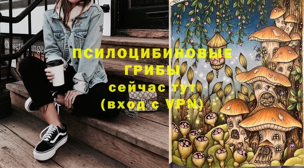винт Баксан