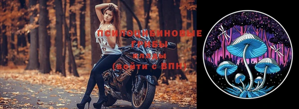 винт Баксан