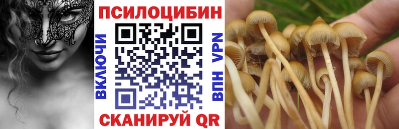Псилоцибиновые грибы MAGIC MUSHROOMS  Горно-Алтайск 